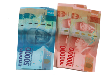 企业出海印尼必备：公司设立与税收政策全解析，印尼