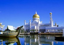 前往东南亚国家实用注意事项