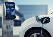 紧抓泰国市场机遇 中国汽车产业链出海