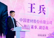 中国建材王兵：企业不论大小都要有全球化思维和视野